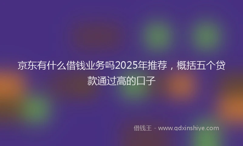 京东有什么借钱业务吗2025年推荐，概括五个贷款通过高的口子