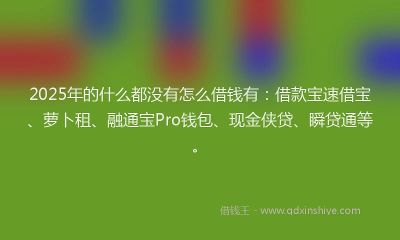 2025年的什么都没有怎么借钱有：借款宝速借宝、萝卜租、融通宝Pro钱包、现金侠贷、瞬贷通等。
