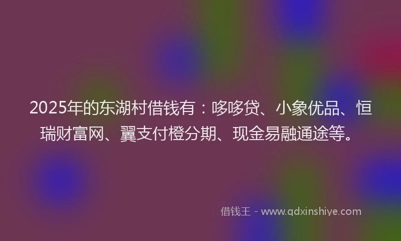 2025年的东湖村借钱有：哆哆贷、小象优品、恒瑞财富网、翼支付橙分期、现金易融通途等。
