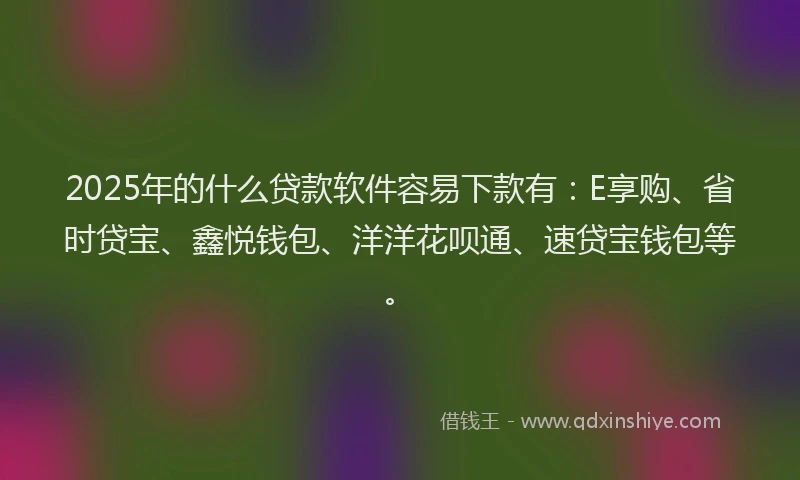 2025年的什么贷款软件容易下款有：E享购、省时贷宝、鑫悦钱包、洋洋花呗通、速贷宝钱包等。