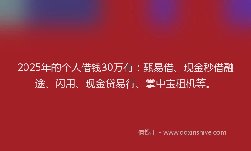 2025年的个人借钱30万有：甄易借、现金秒借融途、闪用、现金贷易行、掌中宝租机等。