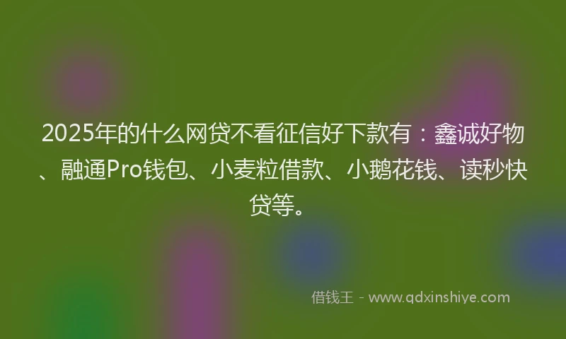 2025年的什么网贷不看征信好下款有：鑫诚好物、融通Pro钱包、小麦粒借款、小鹅花钱、读秒快贷等。