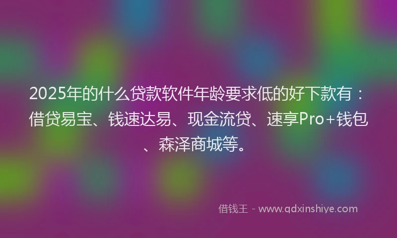 2025年的什么贷款软件年龄要求低的好下款有：借贷易宝、钱速达易、现金流贷、速享Pro+钱包、森泽商城等。