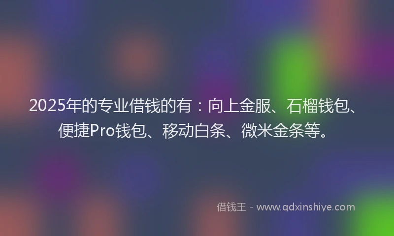 2025年的专业借钱的有：向上金服、石榴钱包、便捷Pro钱包、移动白条、微米金条等。
