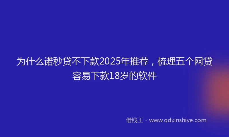 为什么诺秒贷不下款2025年推荐，梳理五个网贷容易下款18岁的软件