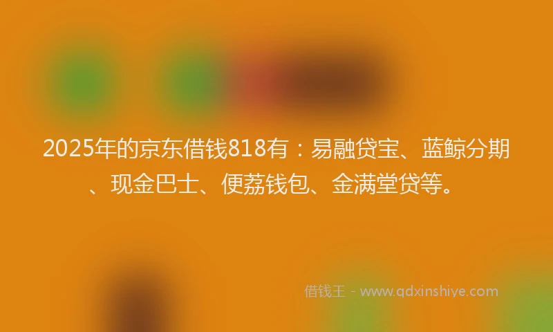 2025年的京东借钱818有：易融贷宝、蓝鲸分期、现金巴士、便荔钱包、金满堂贷等。