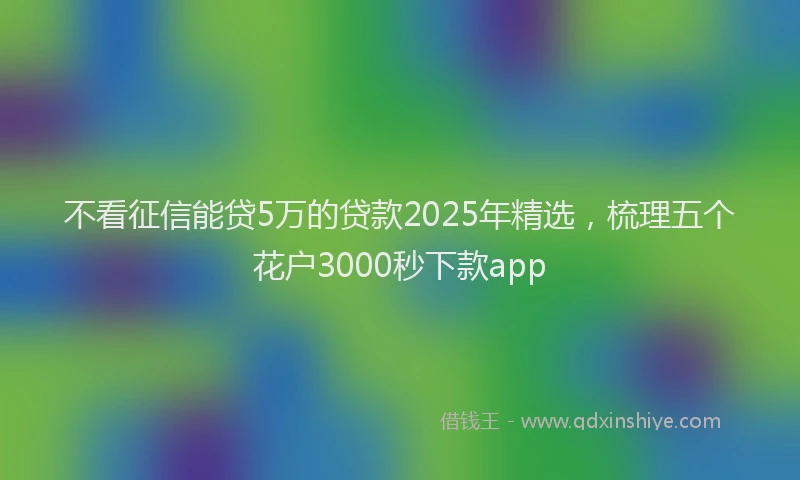 不看征信能贷5万的贷款2025年精选，梳理五个花户3000秒下款app