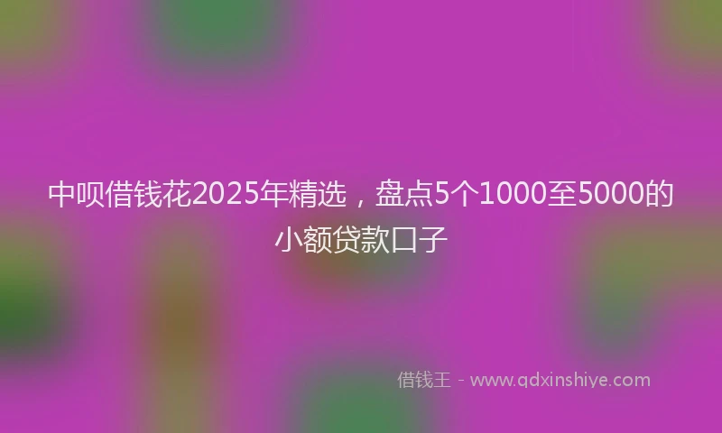 中呗借钱花2025年精选，盘点5个1000至5000的小额贷款口子