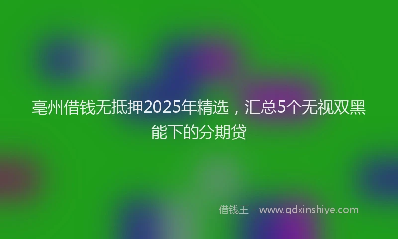 亳州借钱无抵押2025年精选，汇总5个无视双黑能下的分期贷