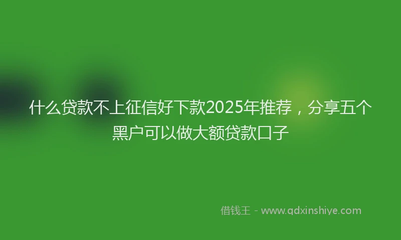什么贷款不上征信好下款2025年推荐，分享五个黑户可以做大额贷款口子