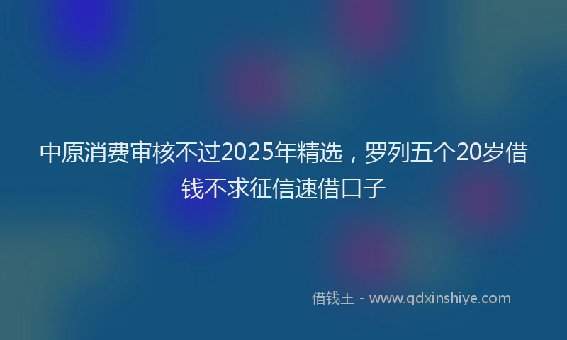 中原消费审核不过2025年精选，罗列五个20岁借钱不求征信速借口子