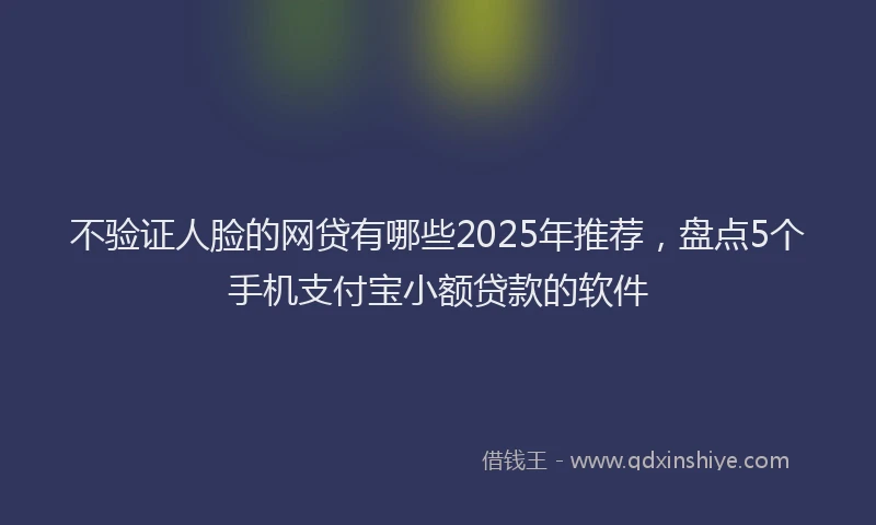 不验证人脸的网贷有哪些2025年推荐，盘点5个手机支付宝小额贷款的软件