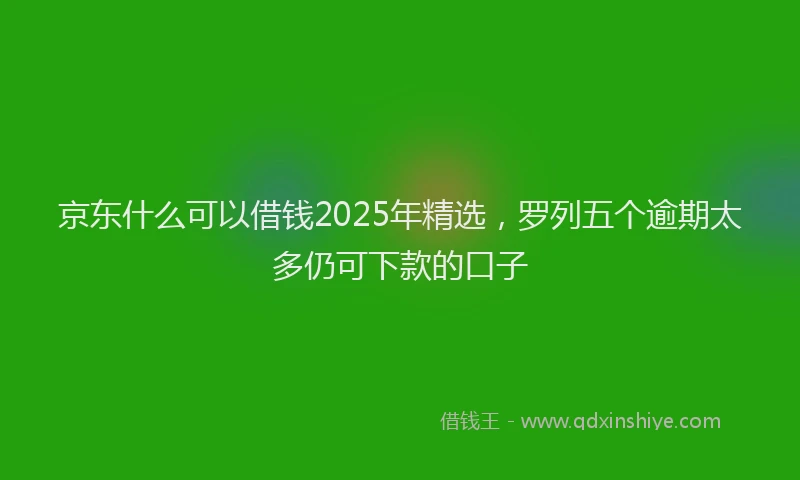 京东什么可以借钱2025年精选，罗列五个逾期太多仍可下款的口子