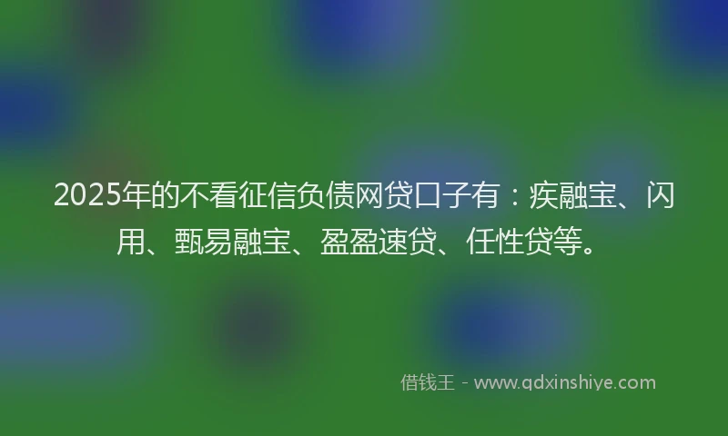 2025年的不看征信负债网贷口子有：疾融宝、闪用、甄易融宝、盈盈速贷、任性贷等。