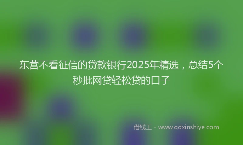 东营不看征信的贷款银行2025年精选，总结5个秒批网贷轻松贷的口子