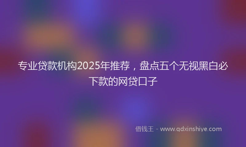 专业贷款机构2025年推荐，盘点五个无视黑白必下款的网贷口子