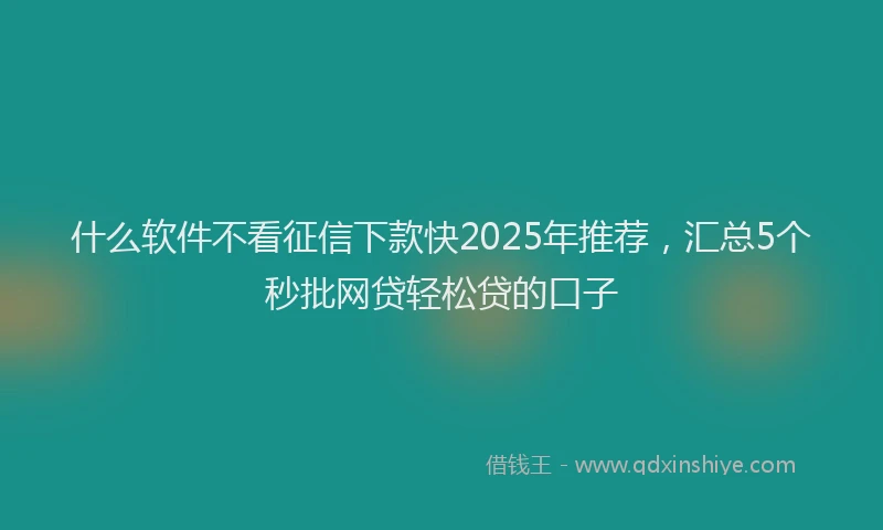 什么软件不看征信下款快2025年推荐，汇总5个秒批网贷轻松贷的口子