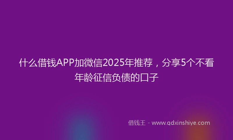 什么借钱APP加微信2025年推荐，分享5个不看年龄征信负债的口子