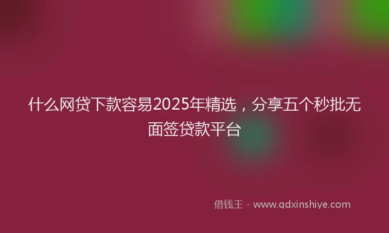 什么网贷下款容易2025年精选，分享五个秒批无面签贷款平台
