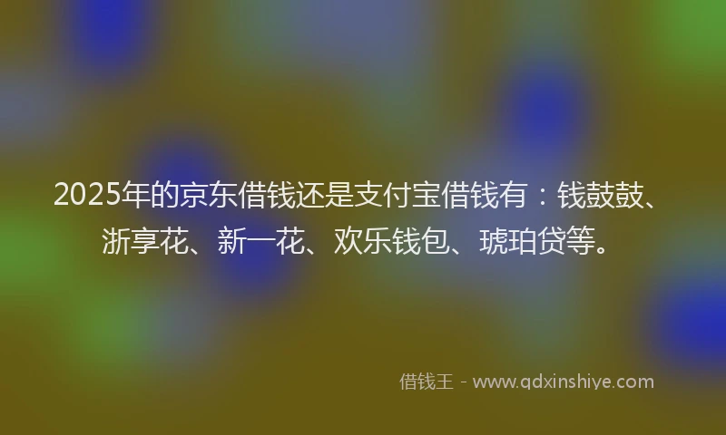 2025年的京东借钱还是支付宝借钱有：钱鼓鼓、浙享花、新一花、欢乐钱包、琥珀贷等。