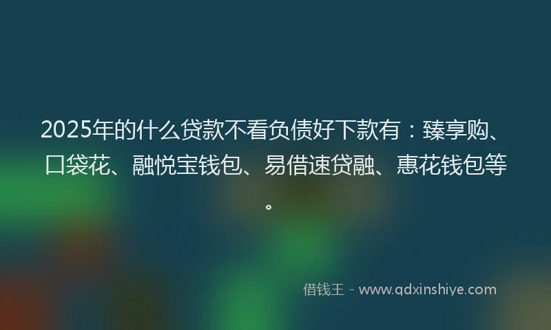 2025年的什么贷款不看负债好下款有：臻享购、口袋花、融悦宝钱包、易借速贷融、惠花钱包等。