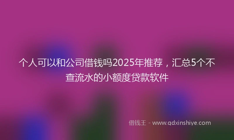 个人可以和公司借钱吗2025年推荐，汇总5个不查流水的小额度贷款软件