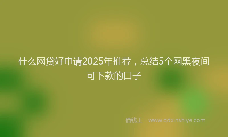 什么网贷好申请2025年推荐，总结5个网黑夜间可下款的口子