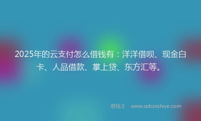 2025年的云支付怎么借钱有：洋洋借呗、现金白卡、人品借款、掌上贷、东方汇等。