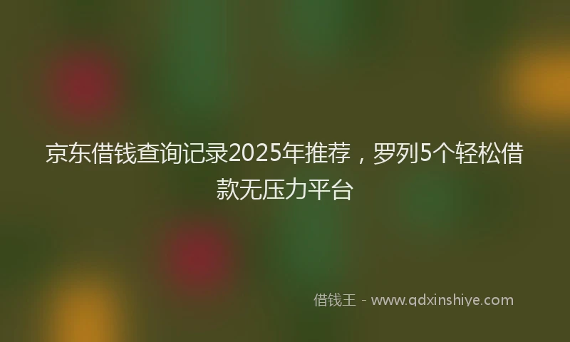京东借钱查询记录2025年推荐，罗列5个轻松借款无压力平台