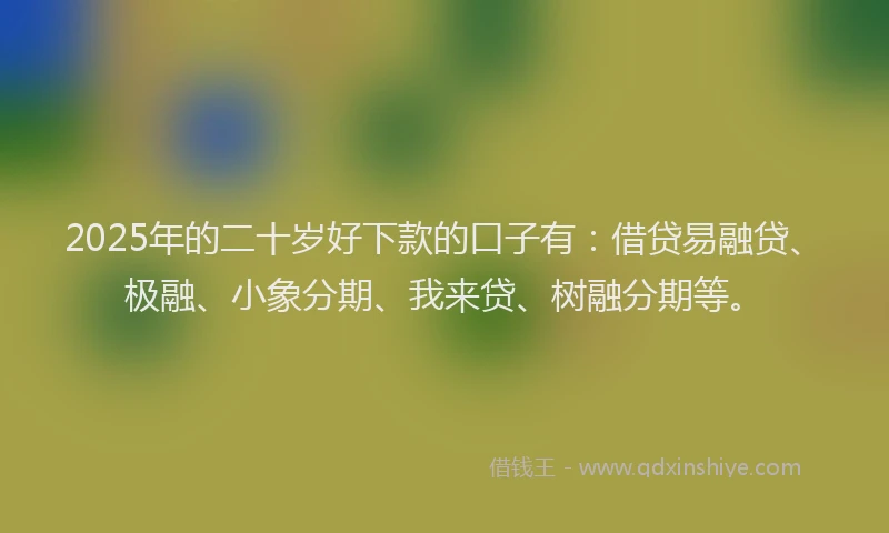 2025年的二十岁好下款的口子有：借贷易融贷、极融、小象分期、我来贷、树融分期等。