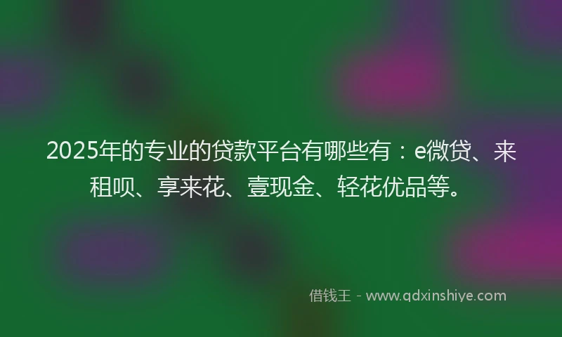 2025年的专业的贷款平台有哪些有：e微贷、来租呗、享来花、壹现金、轻花优品等。