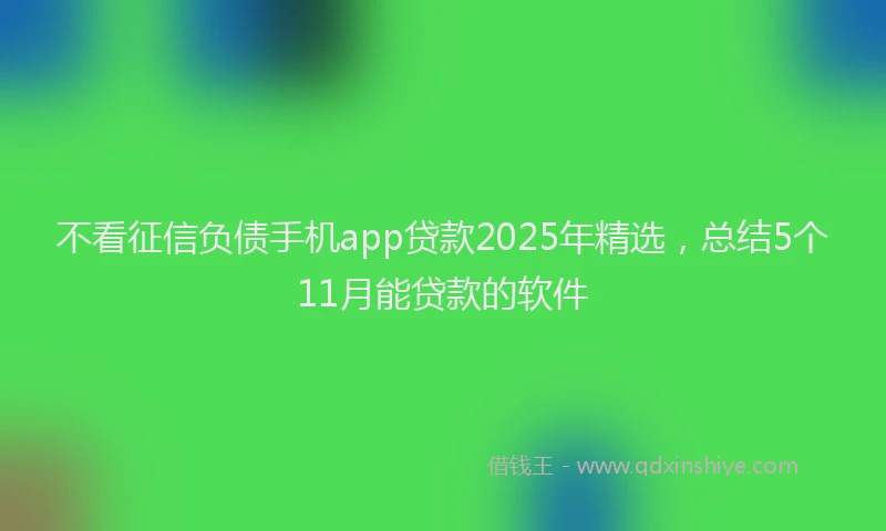 不看征信负债手机app贷款2025年精选，总结5个11月能贷款的软件