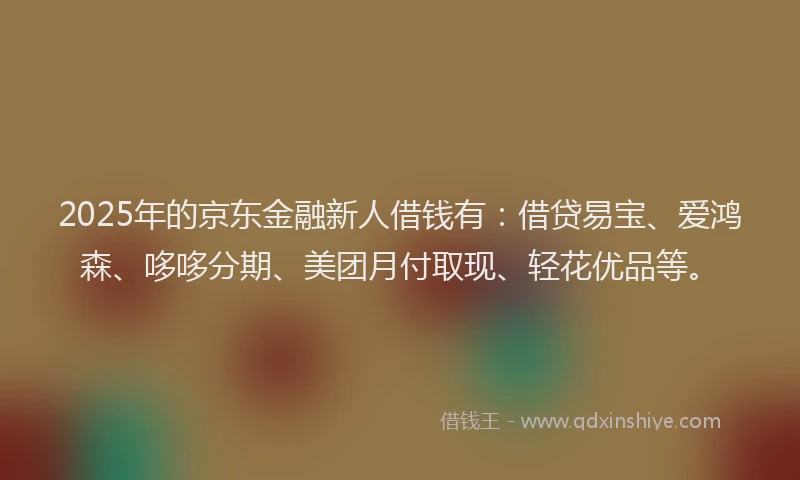 2025年的京东金融新人借钱有：借贷易宝、爱鸿森、哆哆分期、美团月付取现、轻花优品等。