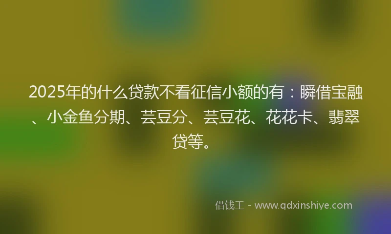 2025年的什么贷款不看征信小额的有：瞬借宝融、小金鱼分期、芸豆分、芸豆花、花花卡、翡翠贷等。