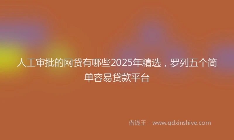 人工审批的网贷有哪些2025年精选，罗列五个简单容易贷款平台