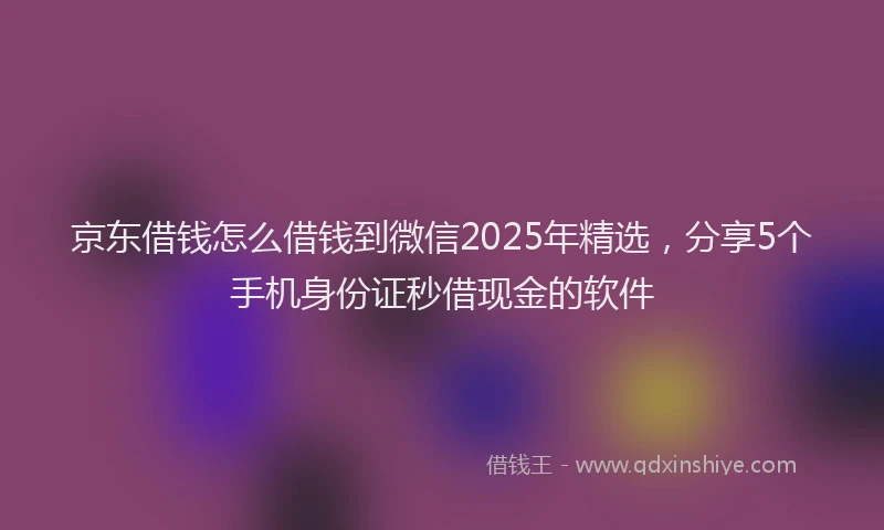 京东借钱怎么借钱到微信2025年精选，分享5个手机身份证秒借现金的软件