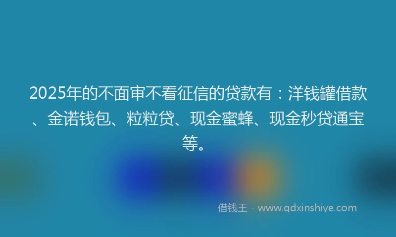 2025年的不面审不看征信的贷款有：洋钱罐借款、金诺钱包、粒粒贷、现金蜜蜂、现金秒贷通宝等。