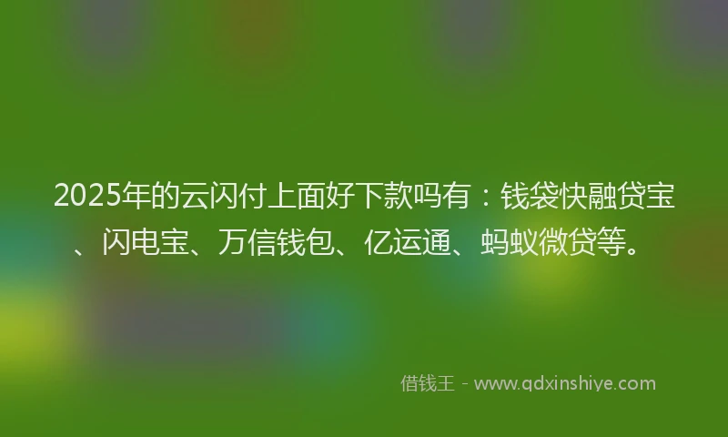 2025年的云闪付上面好下款吗有：钱袋快融贷宝、闪电宝、万信钱包、亿运通、蚂蚁微贷等。