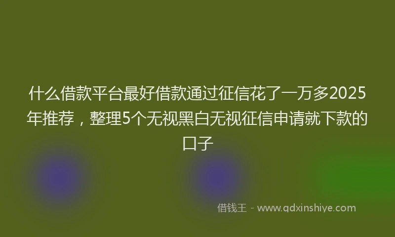 什么借款平台最好借款通过征信花了一万多2025年推荐，整理5个无视黑白无视征信申请就下款的口子
