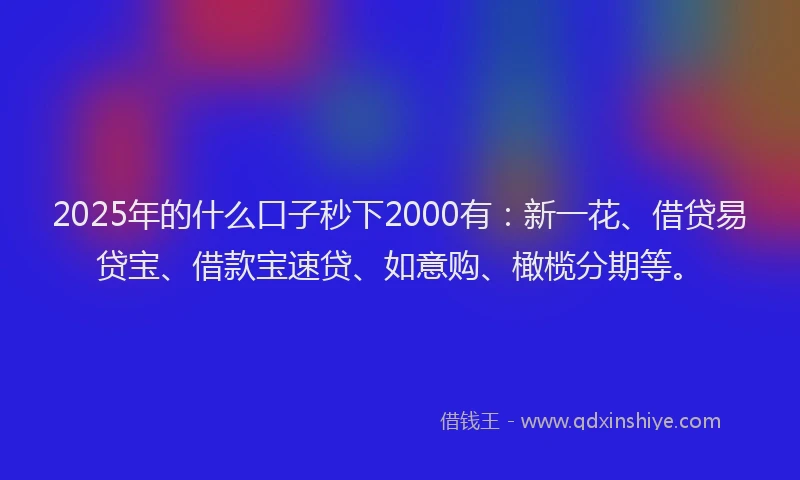 2025年的什么口子秒下2000有：新一花、借贷易贷宝、借款宝速贷、如意购、橄榄分期等。