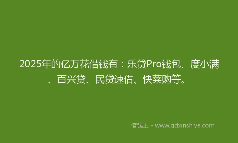 2025年的亿万花借钱有：乐贷Pro钱包、度小满、百兴贷、民贷速借、快莱购等。