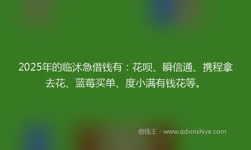 2025年的临沭急借钱有：花呗、瞬信通、携程拿去花、蓝莓买单、度小满有钱花等。
