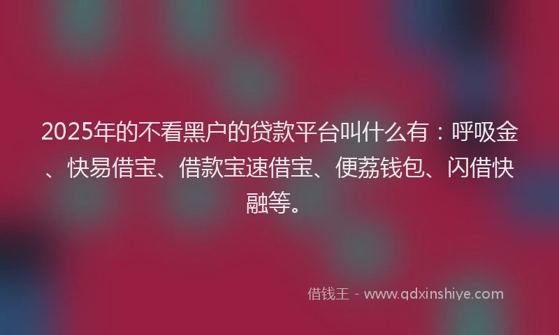 2025年的不看黑户的贷款平台叫什么有：呼吸金、快易借宝、借款宝速借宝、便荔钱包、闪借快融等。