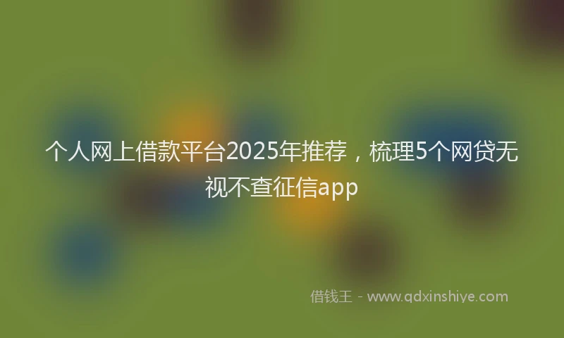 个人网上借款平台2025年推荐，梳理5个网贷无视不查征信app