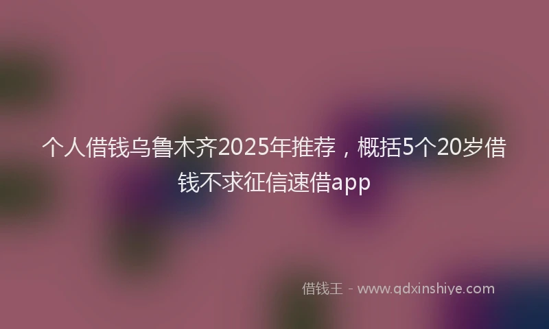 个人借钱乌鲁木齐2025年推荐，概括5个20岁借钱不求征信速借app