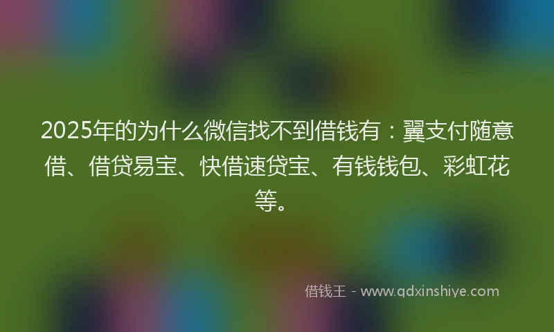 2025年的为什么微信找不到借钱有：翼支付随意借、借贷易宝、快借速贷宝、有钱钱包、彩虹花等。