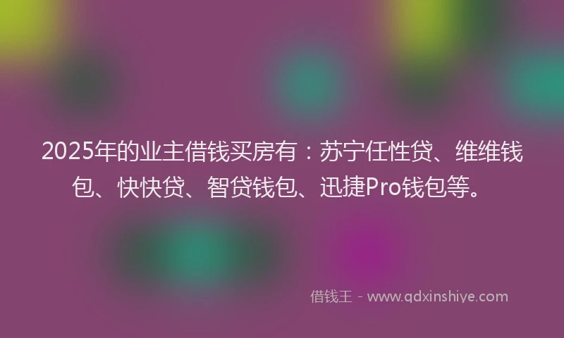 2025年的业主借钱买房有：苏宁任性贷、维维钱包、快快贷、智贷钱包、迅捷Pro钱包等。