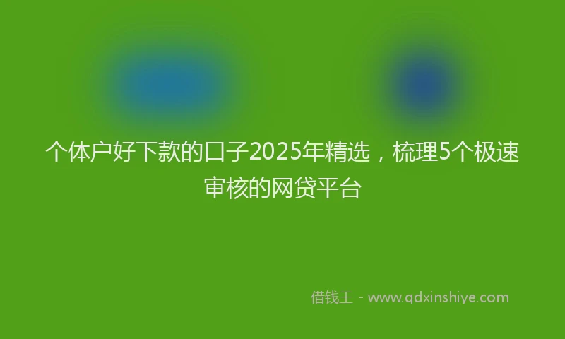 个体户好下款的口子2025年精选，梳理5个极速审核的网贷平台