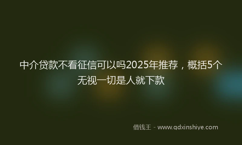 中介贷款不看征信可以吗2025年推荐，概括5个无视一切是人就下款