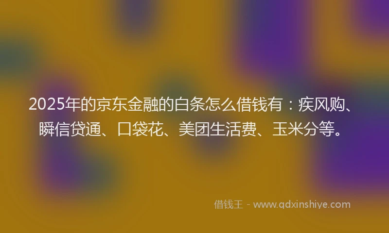 2025年的京东金融的白条怎么借钱有：疾风购、瞬信贷通、口袋花、美团生活费、玉米分等。